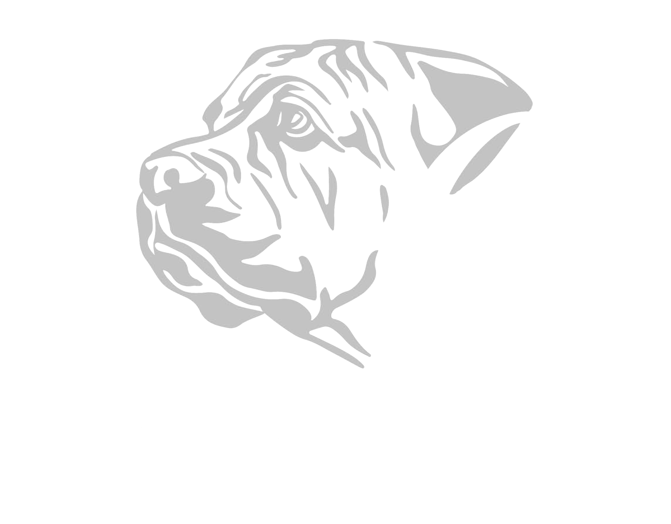 Muus Dogs Logo — German Shepherd and Boerboel breeders Kenya